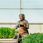 farmer-senior-man-working-in-his-farm-and-greenhouse.jpg
