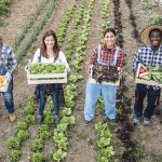 Multi generational farmer team holding wood boxes with fresh organic vegetables - Focus on faces